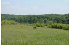 Property photo 25 - 1,025 Acres in 24 Tracts - Exellent Recreation Opportunity - Potential Building Sites - 11 Lakes & Ponds
